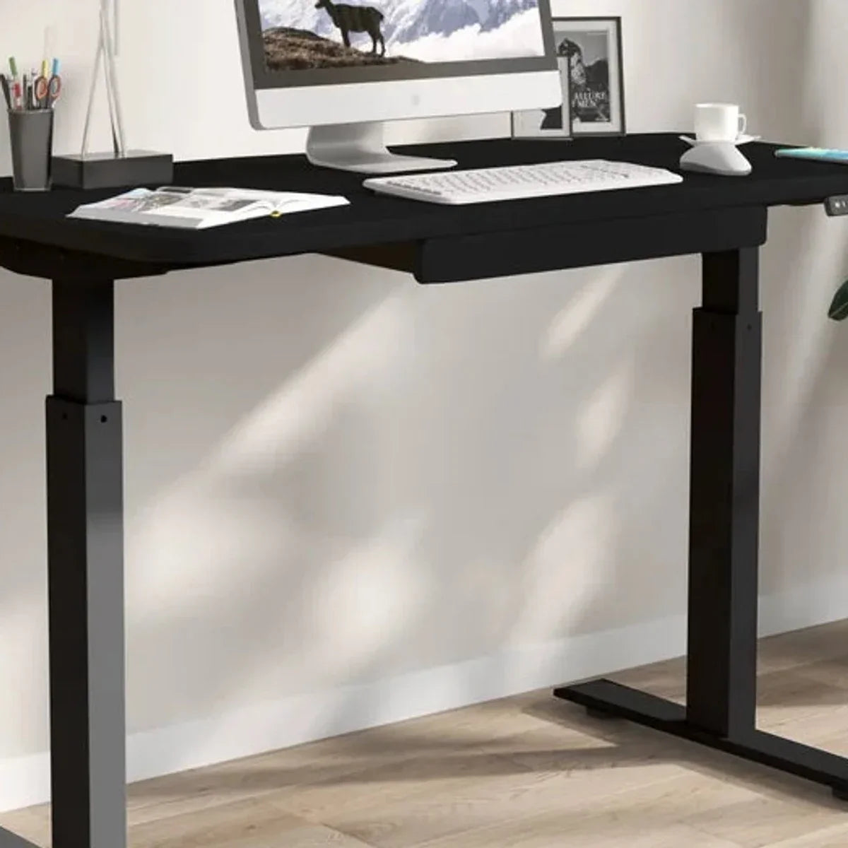 Motionwise 121.9 cm x 61 cm (48 in. x 24 in.) Height Adjustable Desk