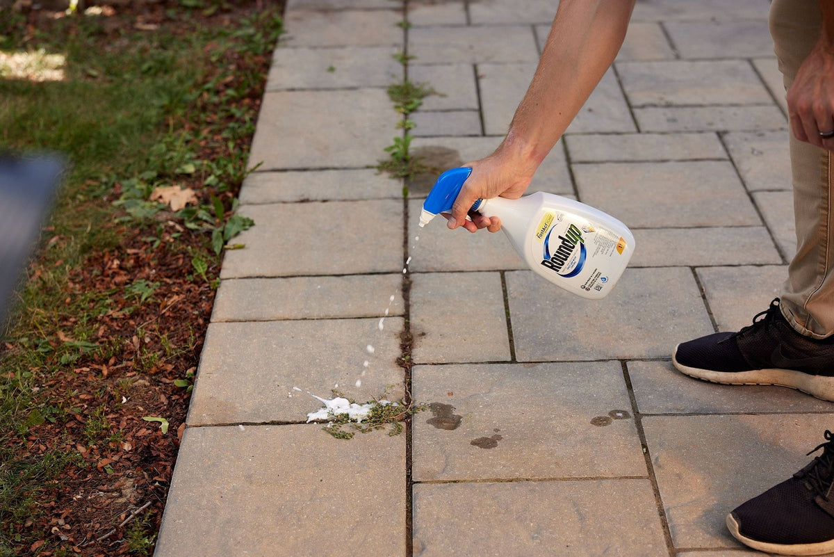 Ready-to-Use Herbicide Grass & Weed Control/Killer with Fast Fact Foam, 1-L