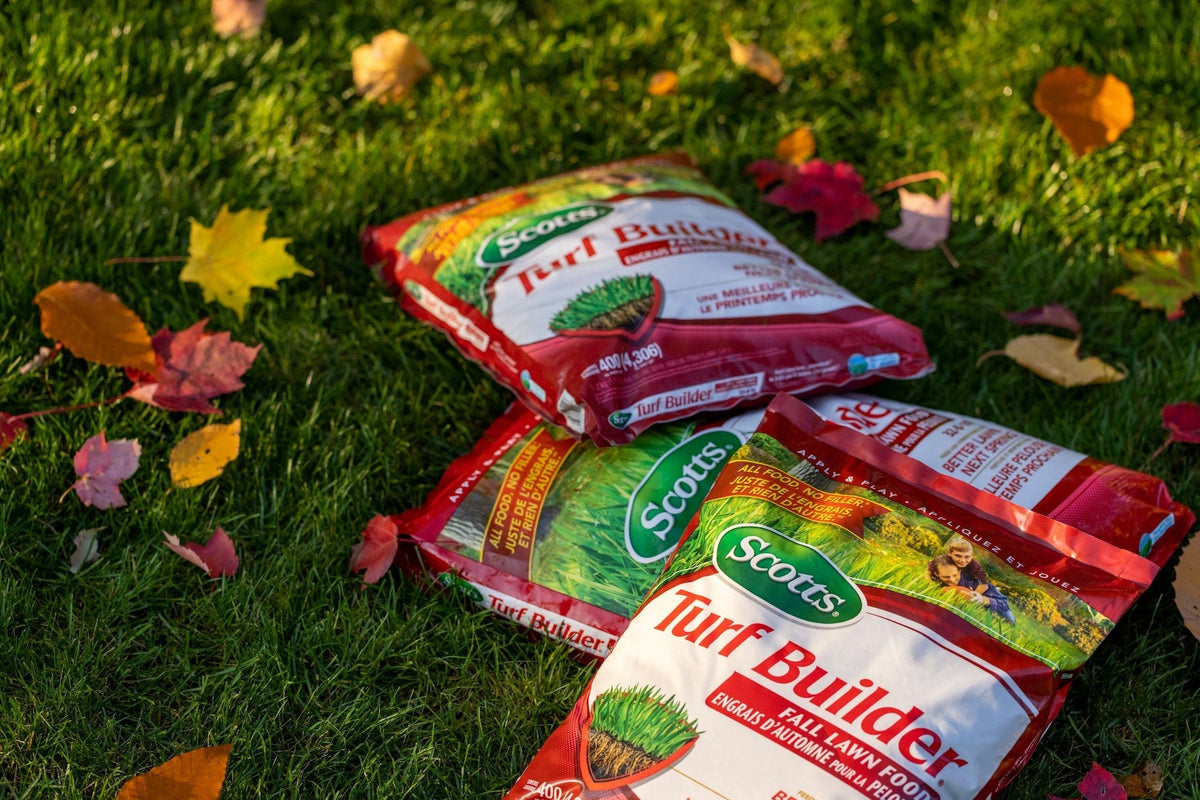 Turf Builder Fall Lawn Fertilizer, 5.25-kg