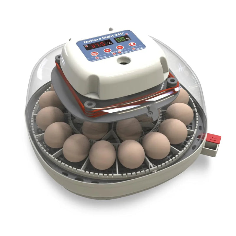 Nurture Right Egg Incubator for Hatching Chicks - Holds 22 Eggs M4951
