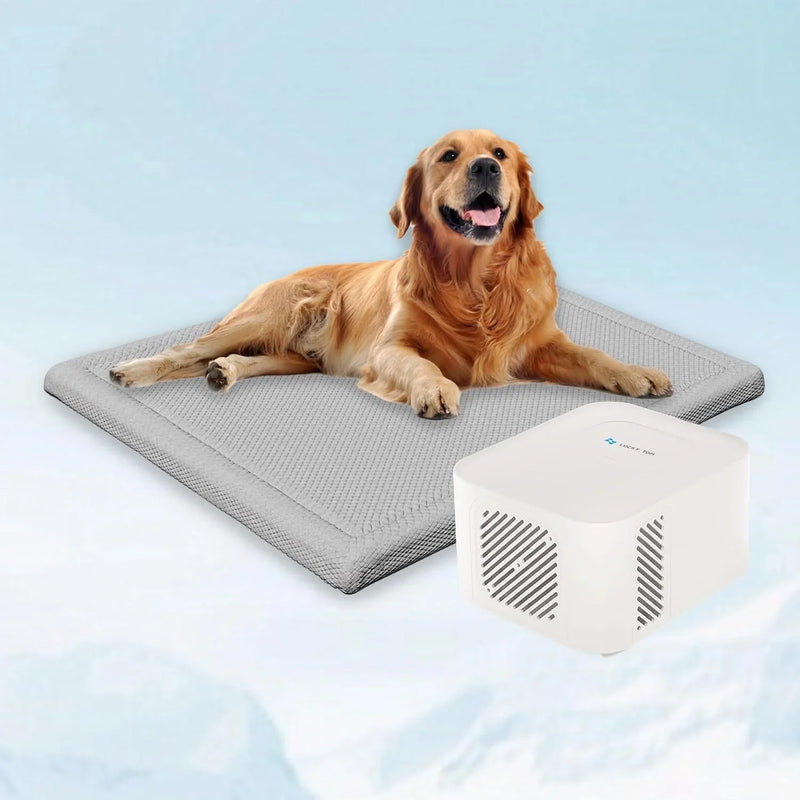 Pet Bed Cooling System, Consistent Warm and Cold Water Pad, No Electric Shock or Chemical Gel Needed, Machine Washable Bed, Ideal for Home and Crates (Cooling & Heating Green, 41" x 28") W9553