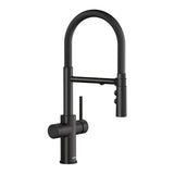 Catris Flexo Filter-Ready Semi-Pro Pull-Down Dual-Spray Kitchen Faucet, Matte Black