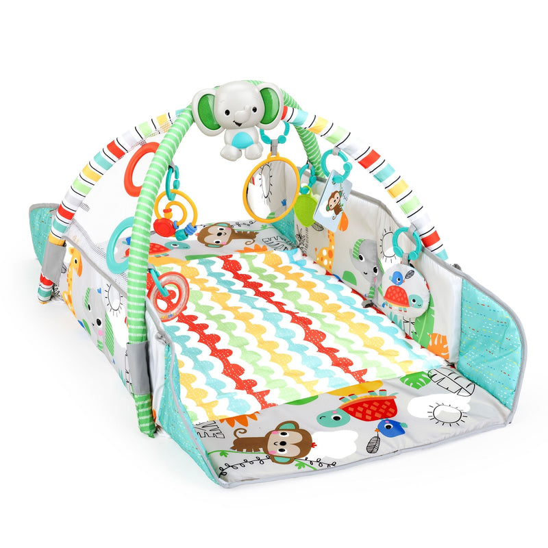 5-in-1 Your Way Ball Play Gym I9569