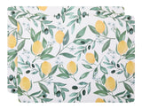 CANVAS Citrus Rectangle Cork Placemat Set, Multi-Coloured, 11-in x 15-in, 2-pk