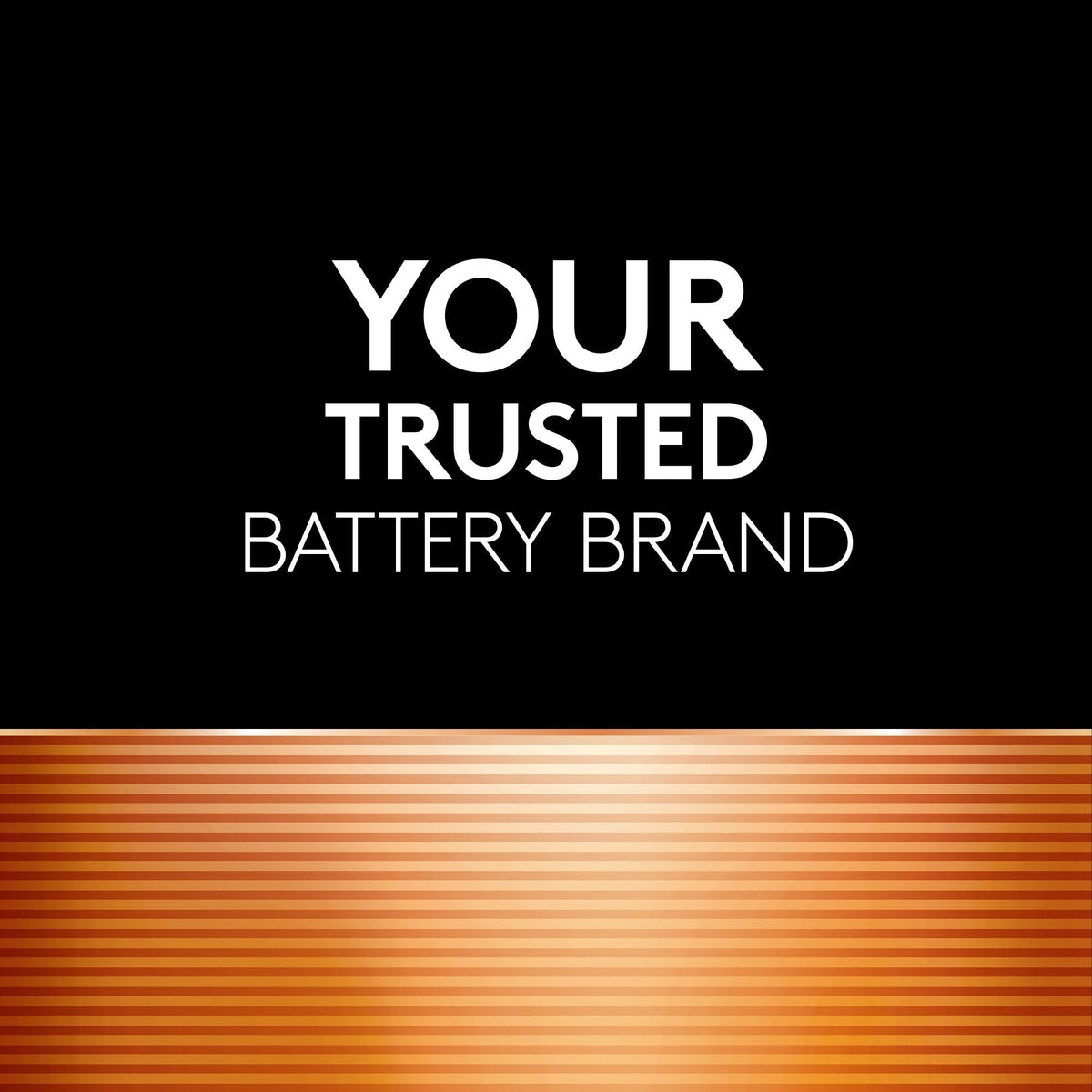 Coppertop AA Alkaline Batteries, 16-pk