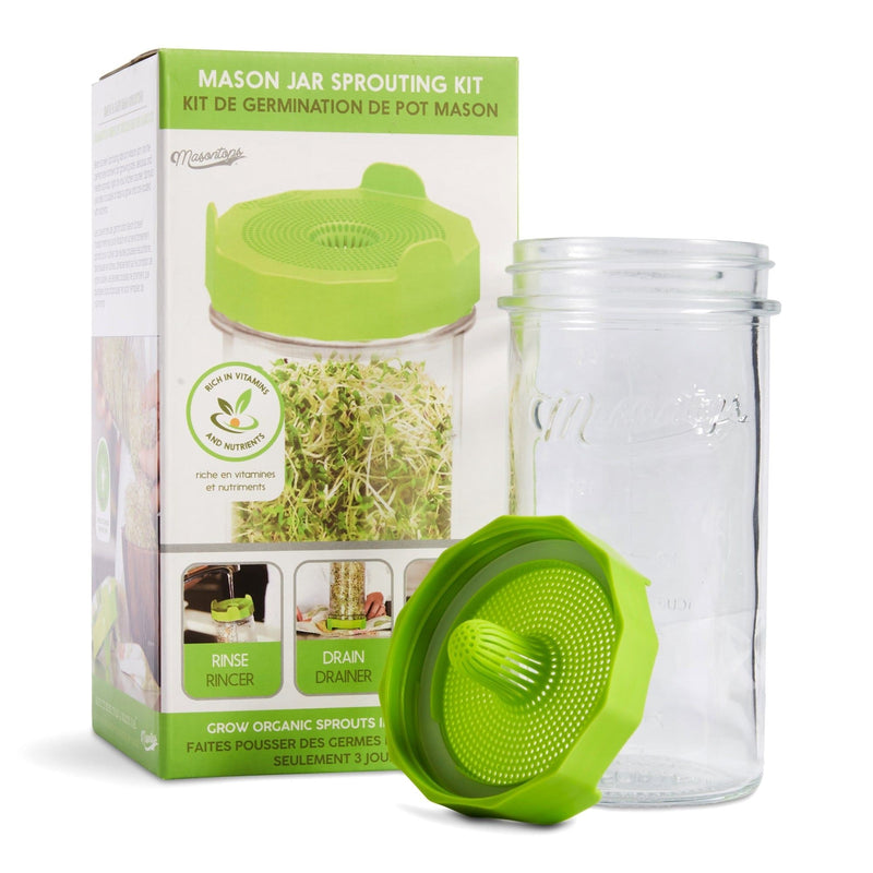 Single Mason Jar Sprouting Kit with Seeds, 3-pc W5443