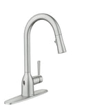 Adler Single Handle Kitchen Faucet with, Spot-resistant Stainless