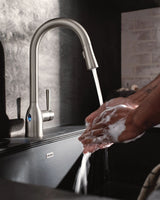 Adler Single Handle Kitchen Faucet with, Spot-resistant Stainless