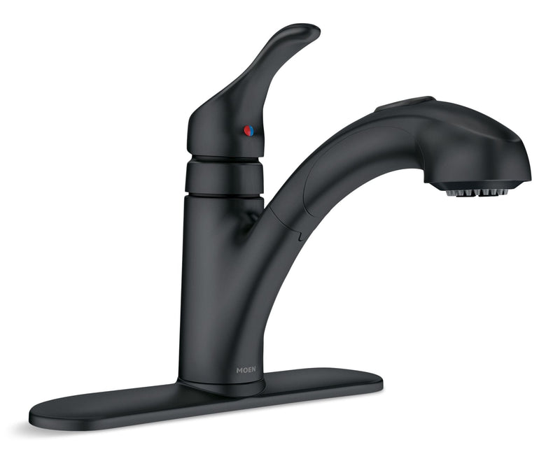 Renzo Single-Handle Pull-Out Kitchen Faucet, Matte Black V7285