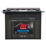 Group Size 41 Battery, 650 CCA