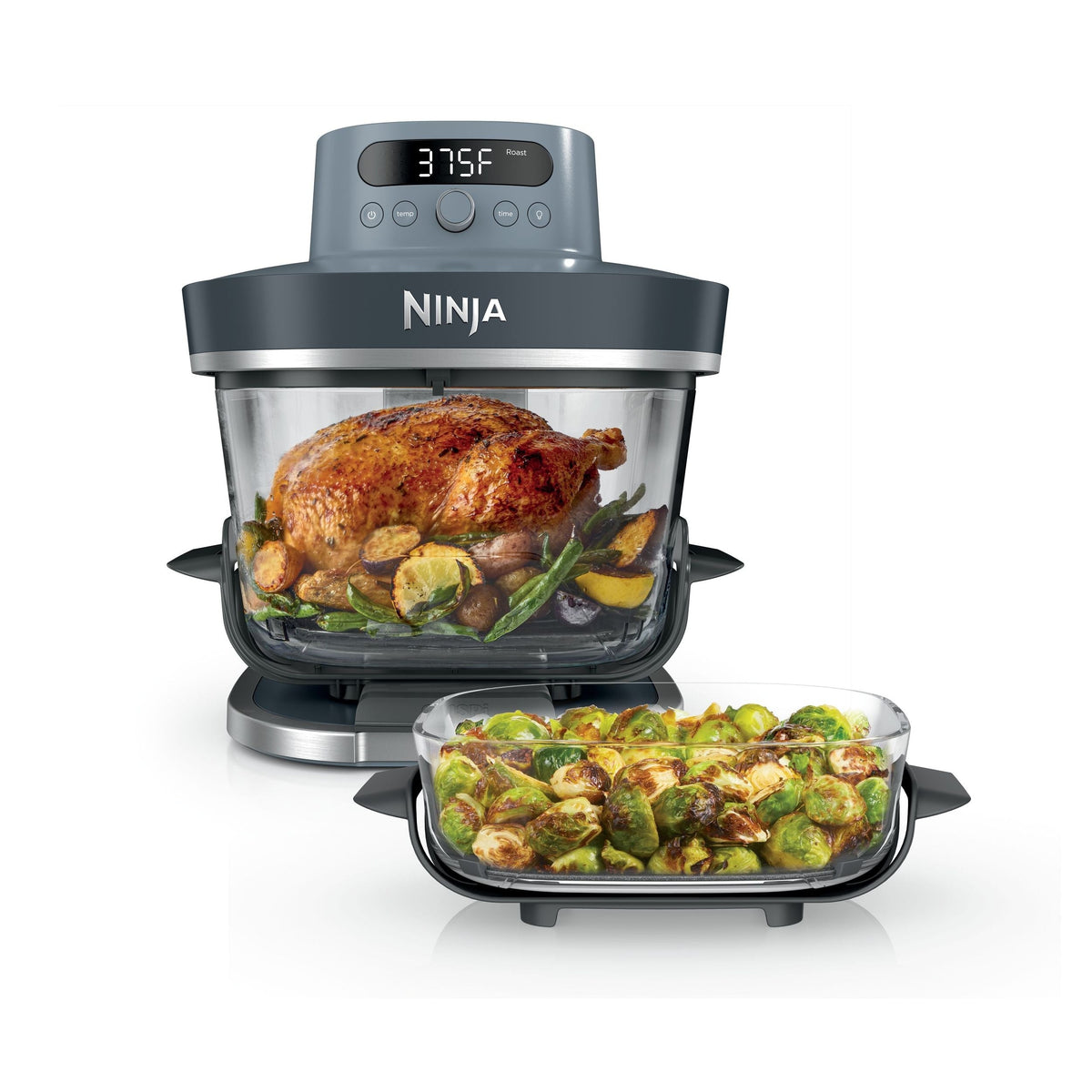 Ninja Pro Air Fryer