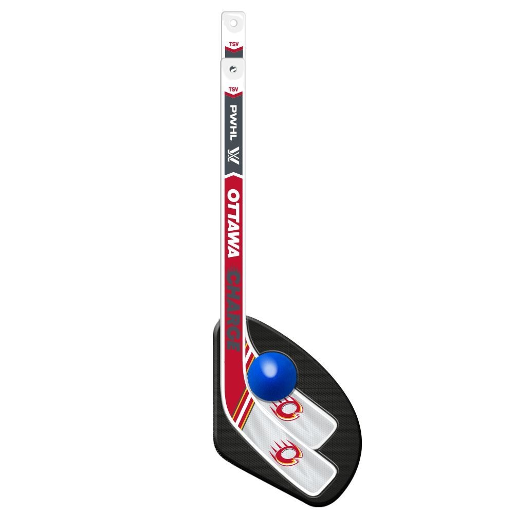 1-on-1 Mini Hockey Sticks with Ball Set, 3-pc