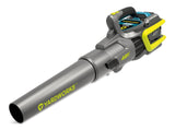 48 V Cordless Leaf Blower & Trimmer Combo, 2 Ah Battery Included